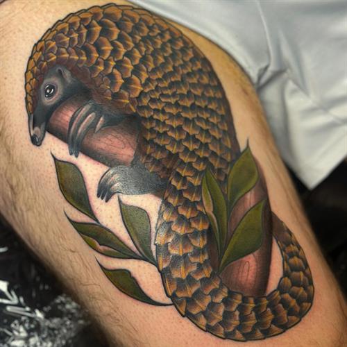 pangolin tattoo