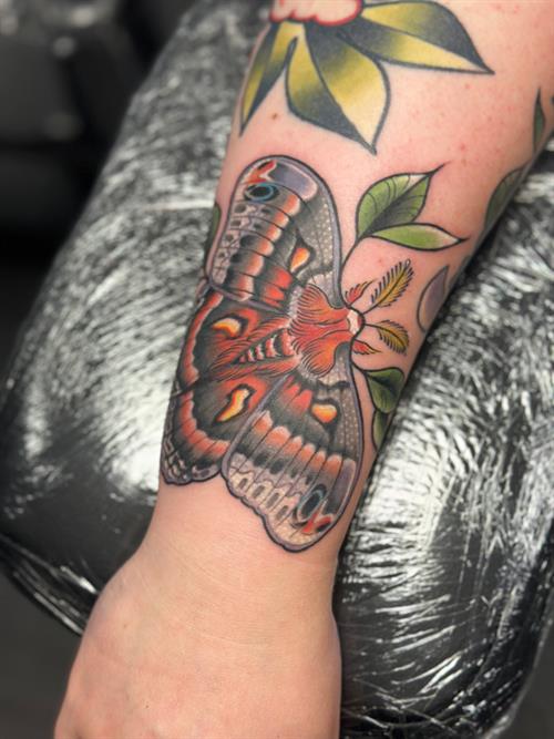 Atlas moth tattoo
