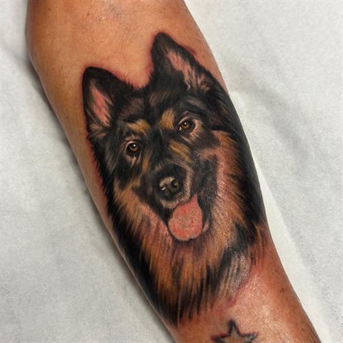 German Shepherd tattoo