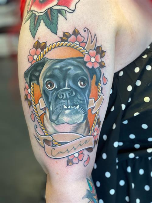 Boxer dog
