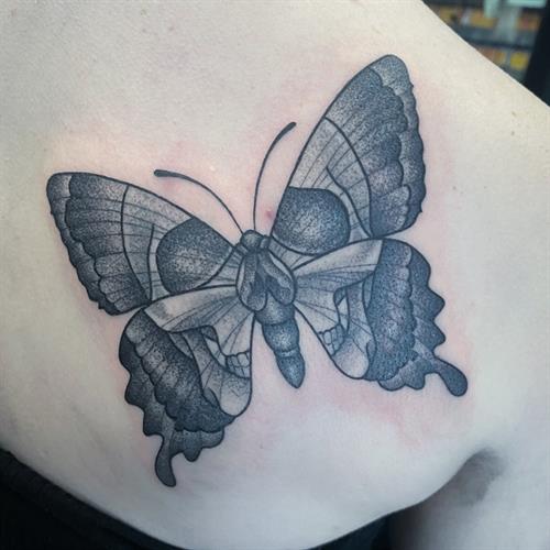 black and grey stippled skull butterfly tattoo